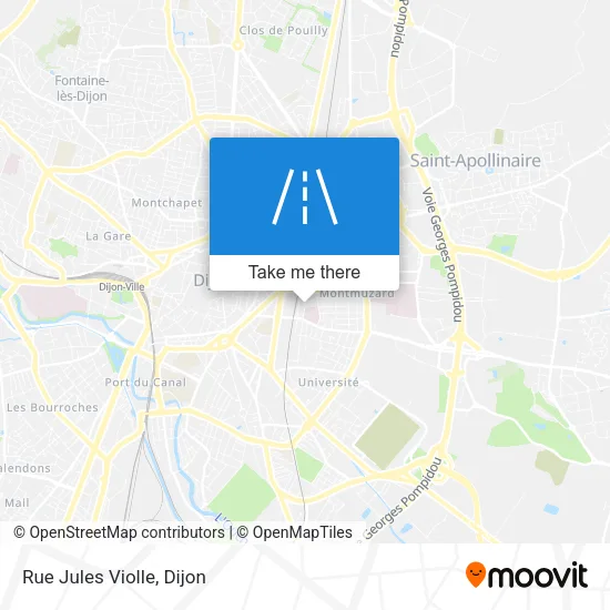 Rue Jules Violle map