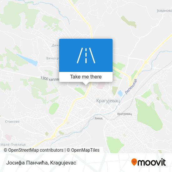 Јосифа Панчића map