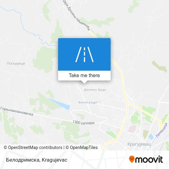 Белодримска map