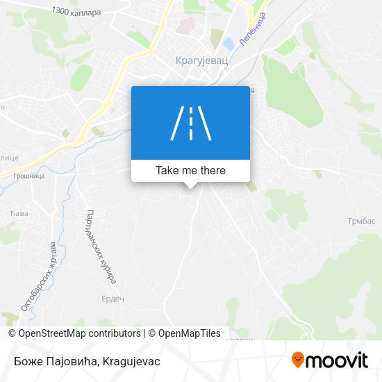 Боже Пајовића map