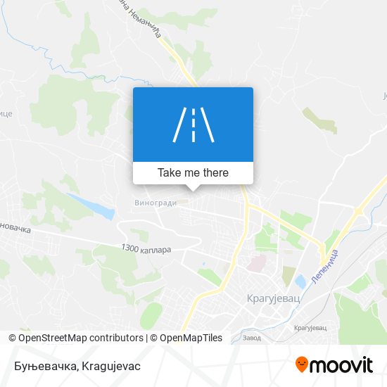 Буњевачка map