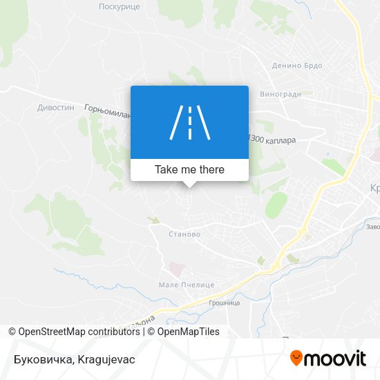 Буковичка map