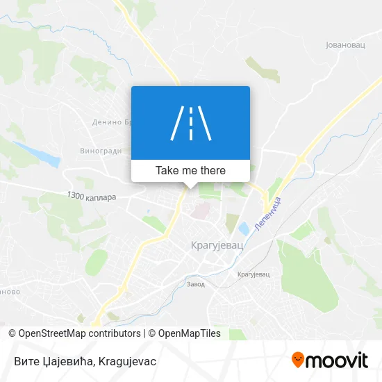 Вите Џајевића map