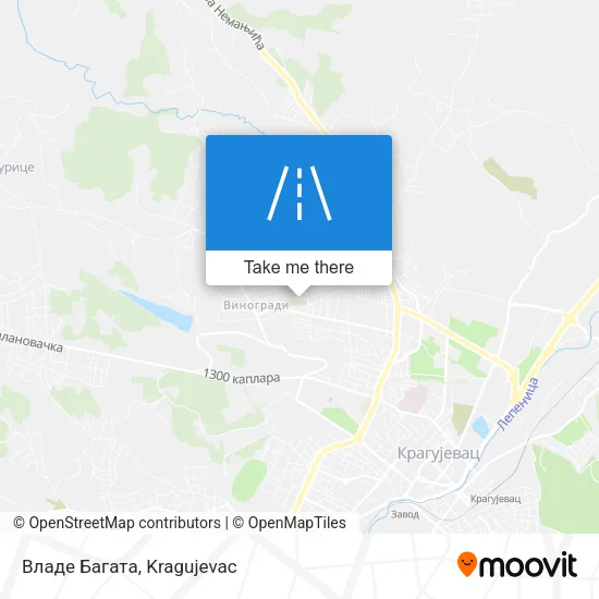 Владе Багата map