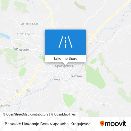Владике Николаја Велимировића map