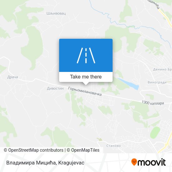 Владимира Мицића map