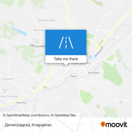 Делиградска map