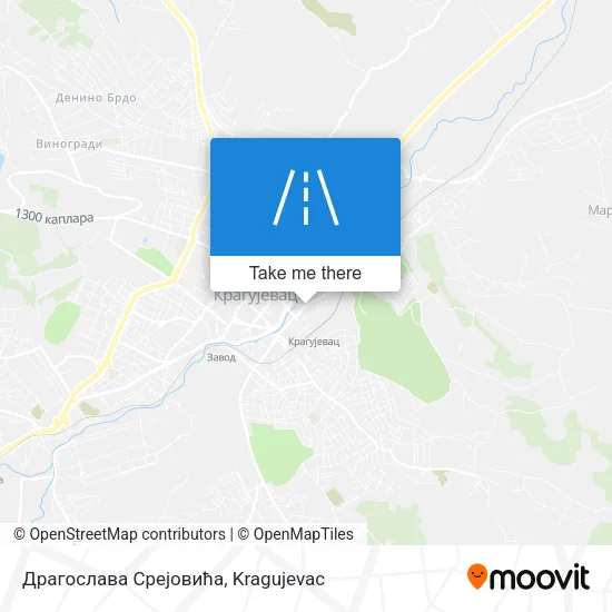 Драгослава Срејовића map