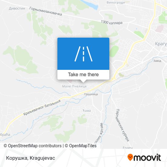 Корушка map