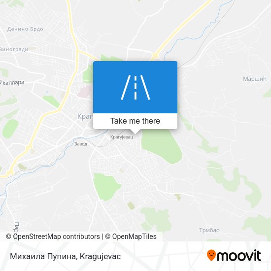 Михаила Пупина map