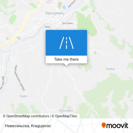 Невесињска map