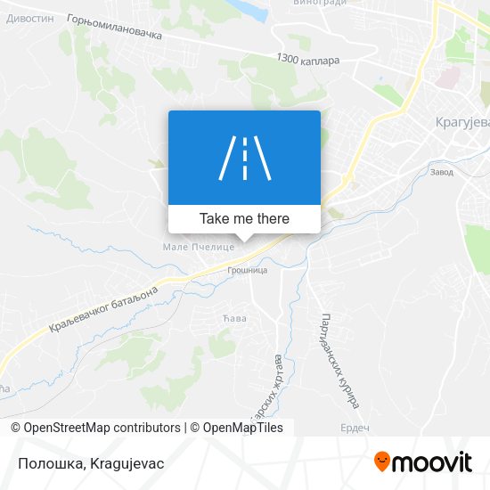 Полошка map