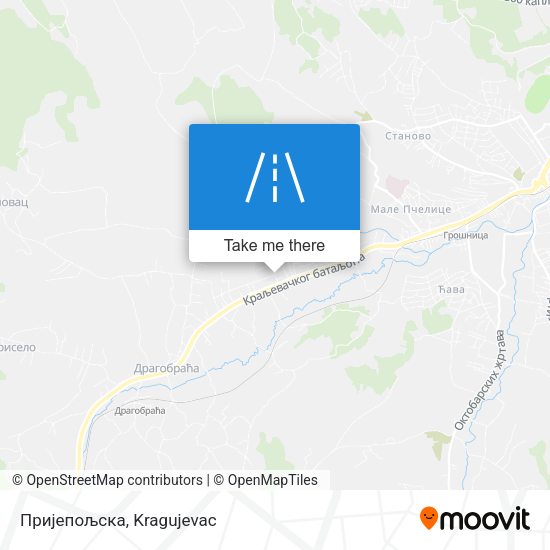 Пријепољска map