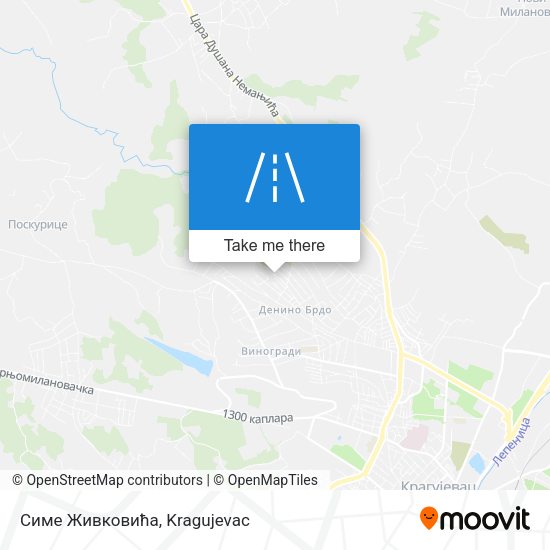 Симе Живковића map