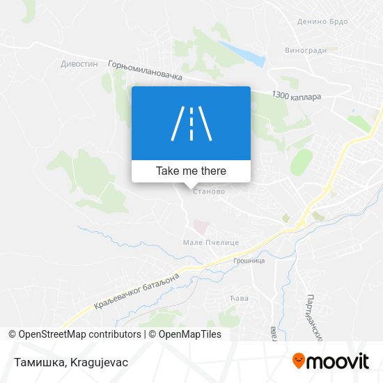 Тамишка map