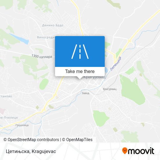 Цетињска map