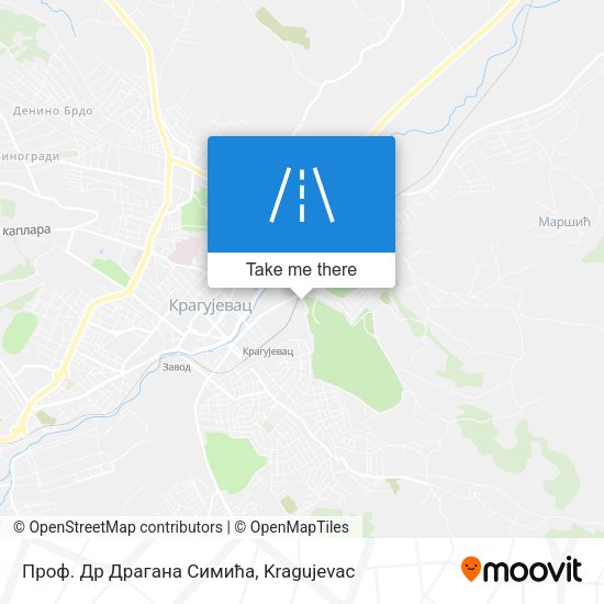 Проф. Др Драгана Симића map