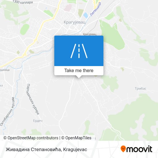 Живадина Степановића map