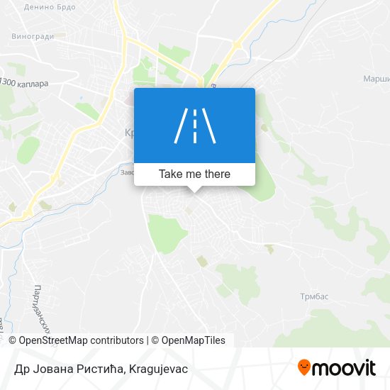 Др Јована Ристића map