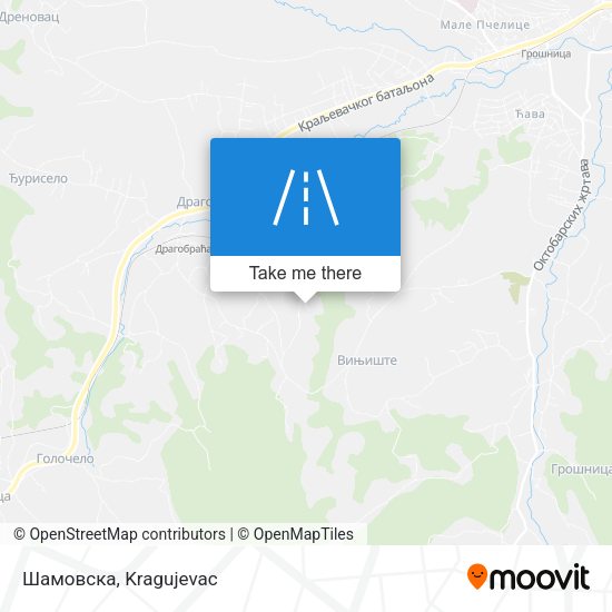 Шамовска map