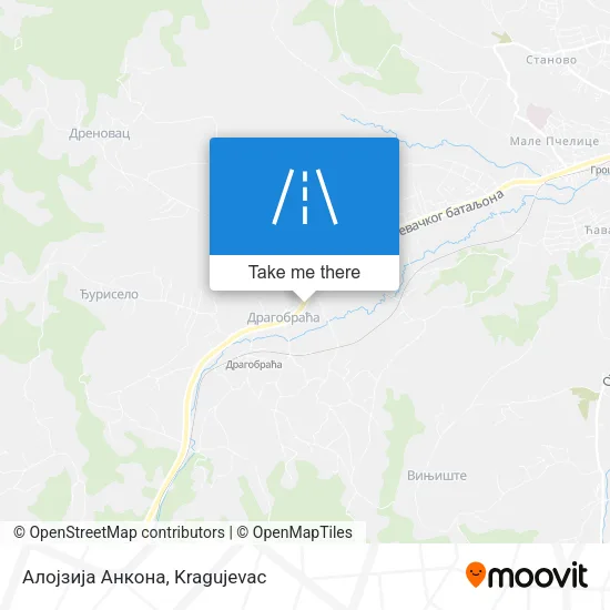 Алојзија Анкона map