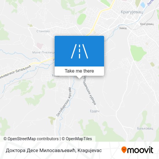 Доктора Десе Милосављевић map