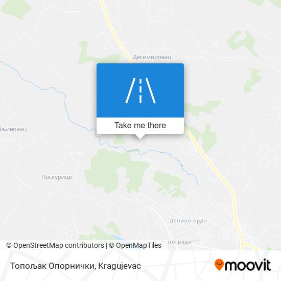 Топољак Опорнички map