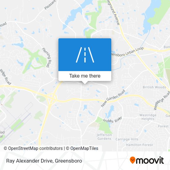 Ray Alexander Drive map