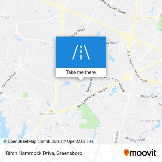Mapa de Birch Hammock Drive