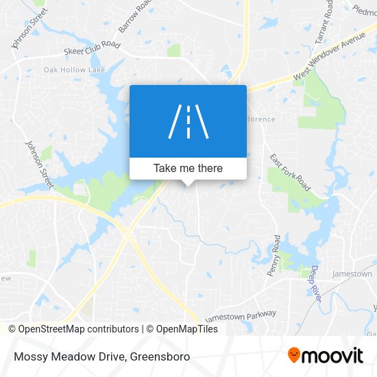Mapa de Mossy Meadow Drive