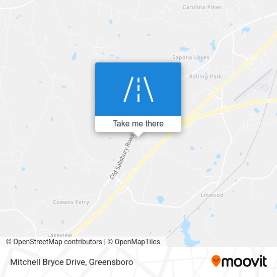 Mitchell Bryce Drive map