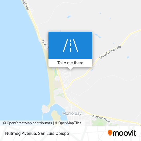 Nutmeg Avenue map