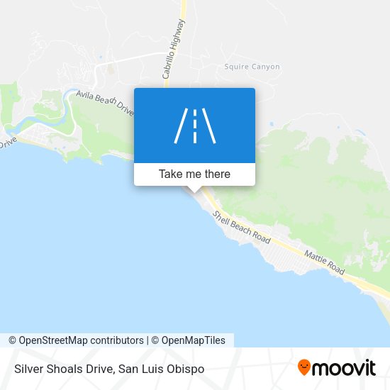 Silver Shoals Drive map