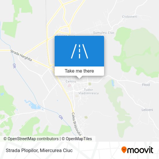 Strada Plopilor map
