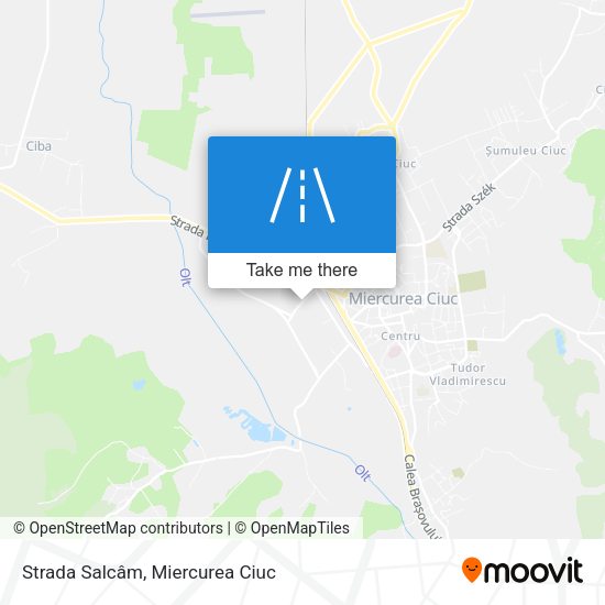 Strada Salcâm map