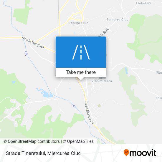 Strada Tineretului map