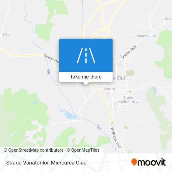 Strada Vânătorilor map