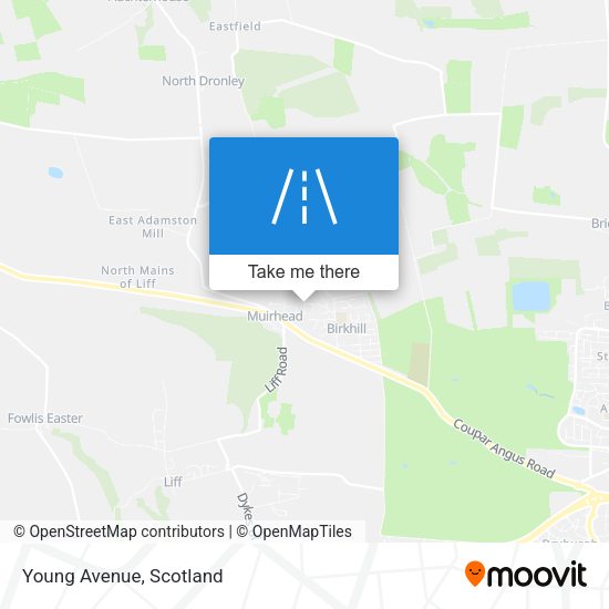 Young Avenue map