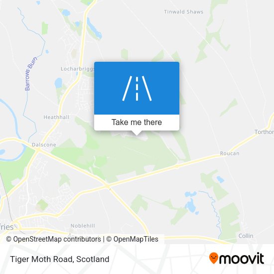 Tiger Moth Road map