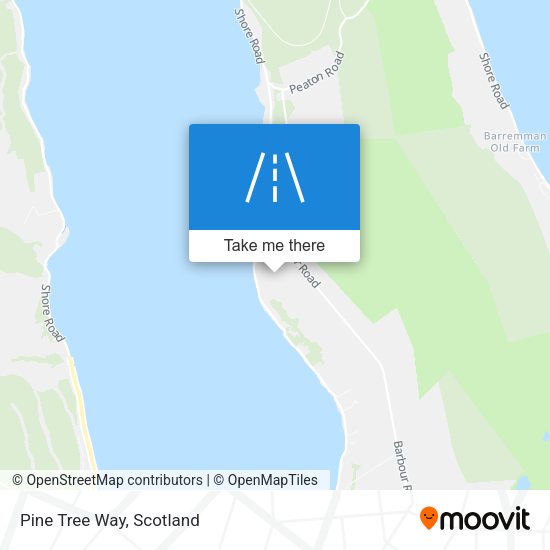 Pine Tree Way map