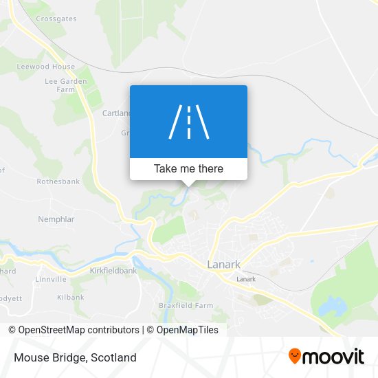 Mouse Bridge map