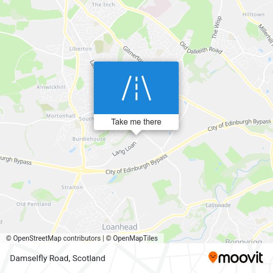 Damselfly Road map