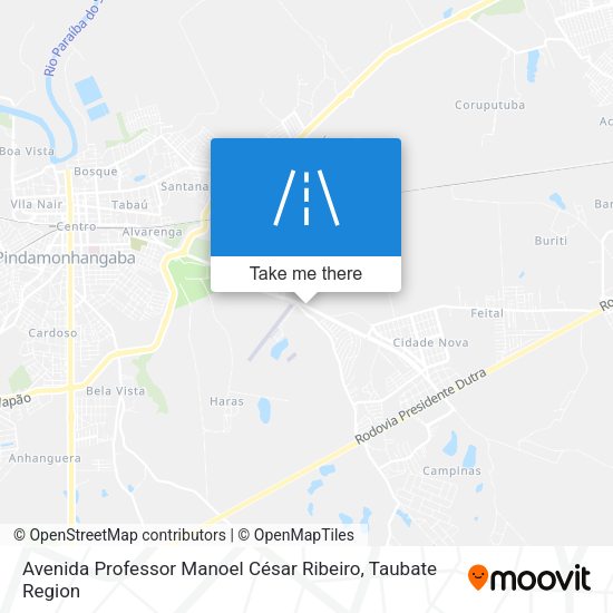 Avenida Professor Manoel César Ribeiro map