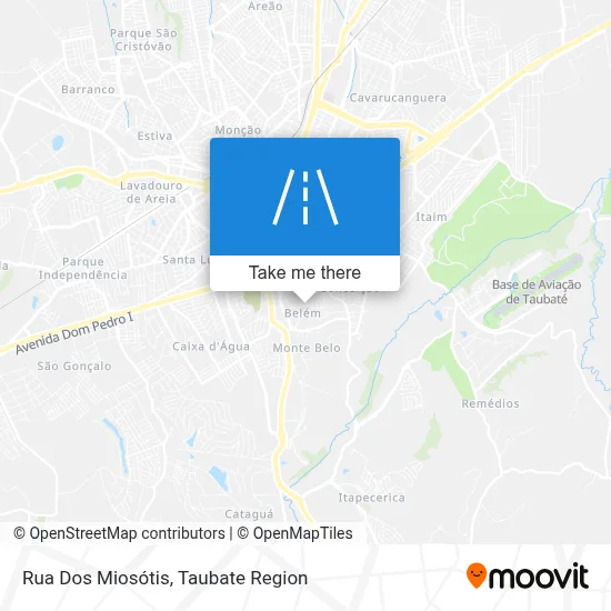 Rua Dos Miosótis map
