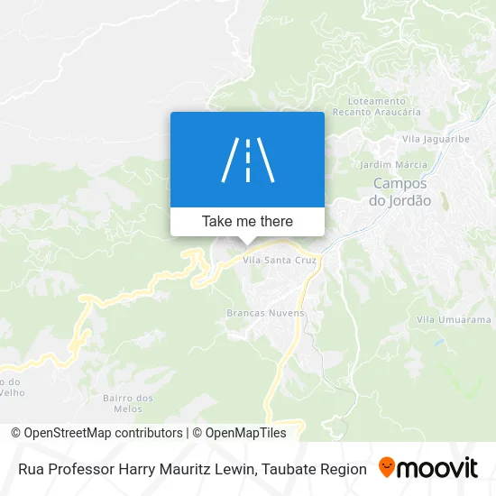 Rua Professor Harry Mauritz Lewin map