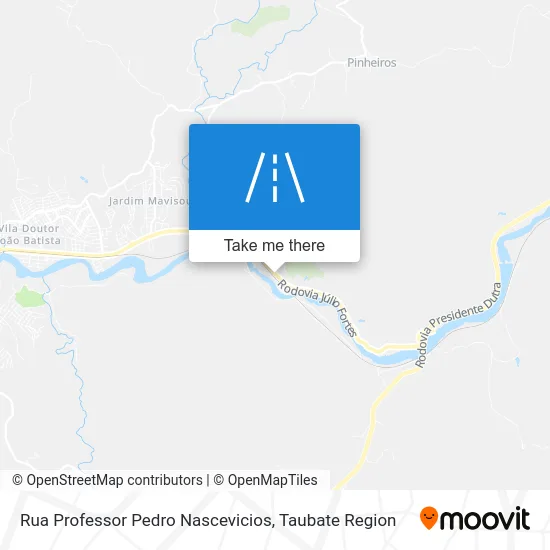 Rua Professor Pedro Nascevicios map