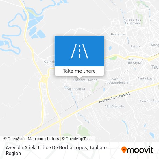 Avenida Ariela Lidice De Borba Lopes map
