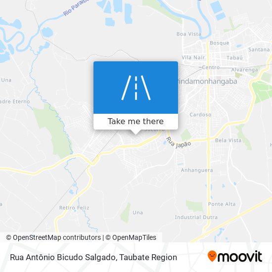 Rua Antônio Bicudo Salgado map