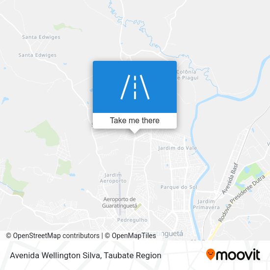 Avenida Wellington Silva map
