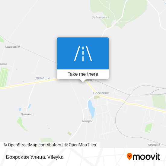 Боярская Улица map